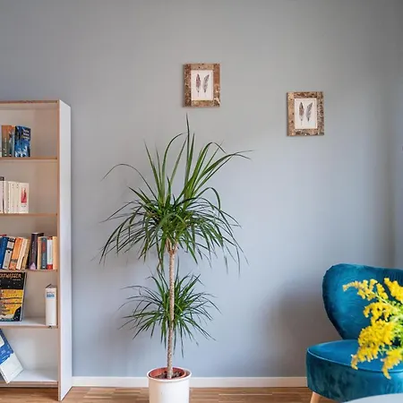 Schone In Zentraler Lage Apartamento *